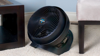 You'll Be Blown Away By This Deal on One of Your Favorite Fans